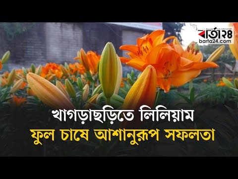 ভিনদেশি ফুল লিলিয়াম চাষে পাহাড়ে অভূতপূর্ব সফলতা