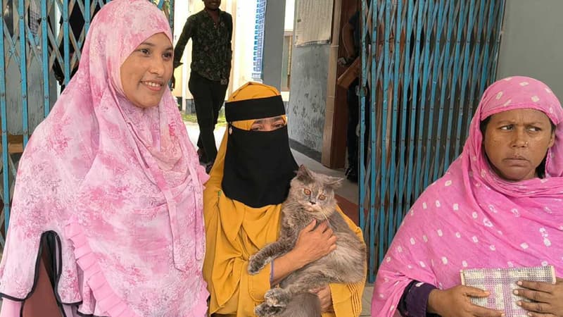 বিড়াল হারিয়ে পত্রিকায় বিজ্ঞাপন আর থানায় অভিযোগ, অবশেষে উদ্ধার বিড়াল হারিয়ে পত্রিকায় বিজ্ঞাপন আর থানায় অভিযোগ, অবশেষে উদ্ধার
